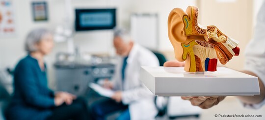 Model-Ohr im Vordergrund: Im Hintergrund bespricht Arzt mit Patientin verschiedene Tinnitus-Arten.